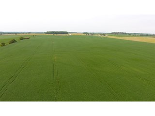 Property photo 34 - IMPORTANT OHIO LAND AUCTION - 325.5+/- ACRES OFFERED IN 8 TRACTS IN PICKAWAY COUNTY, OHIO